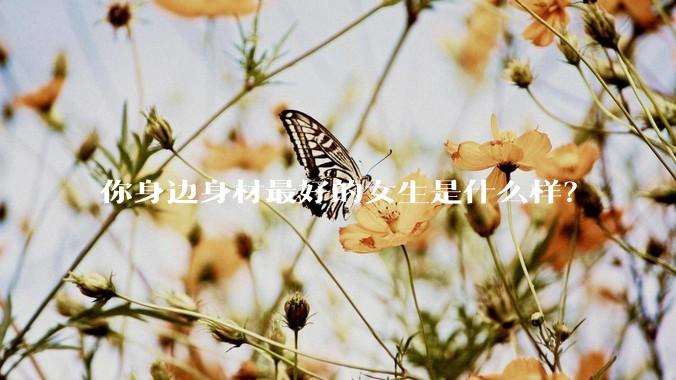 你身边身材最好的女生是什么样？